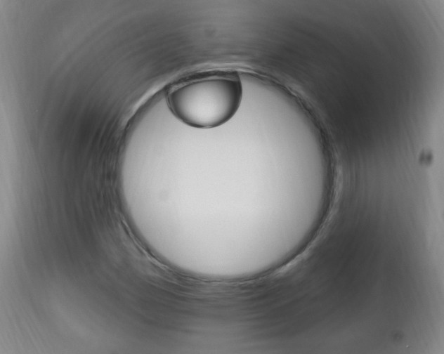 X0000113131162200909040926