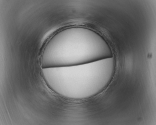 X0000113131164200909040926