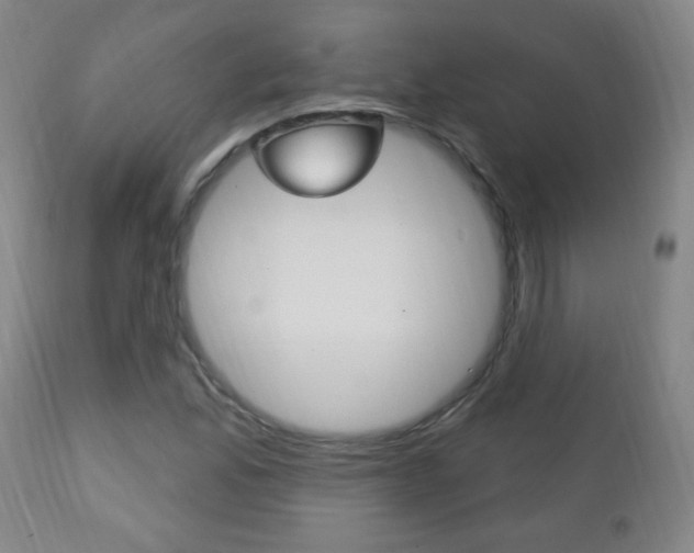 X0000113131165200909040926
