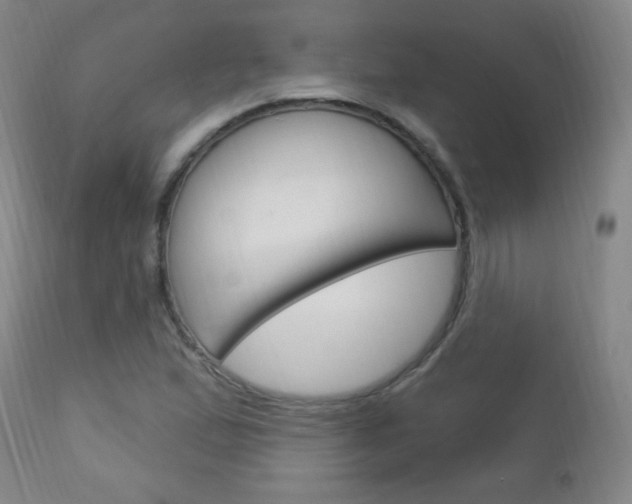 X0000113131167200909040926