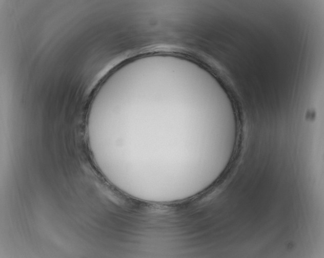 X0000113131170200909040926