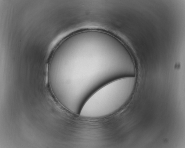 X0000113131175200909040925