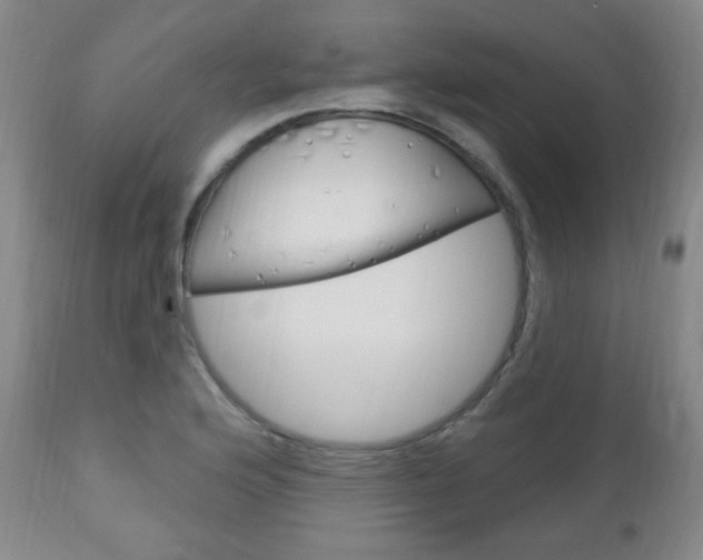 X0000113131176200909040925