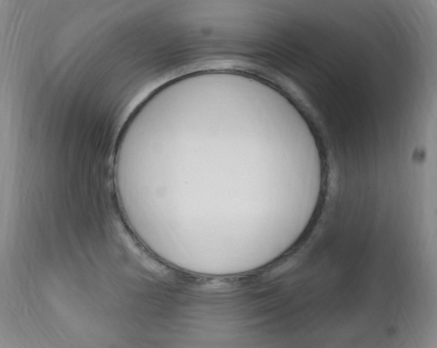 X0000113131178200909040925