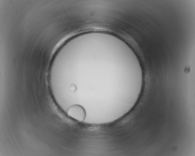 X0000113131182200909040925
