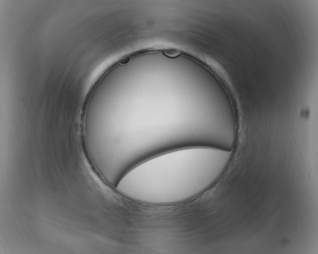 X0000113131183200909040925