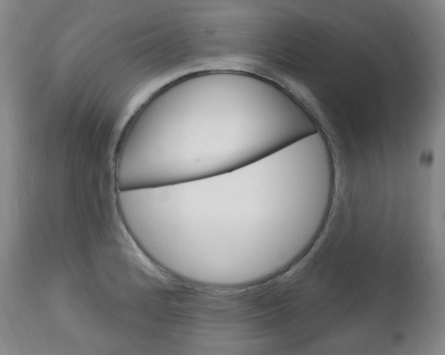 X0000113131184200909040925