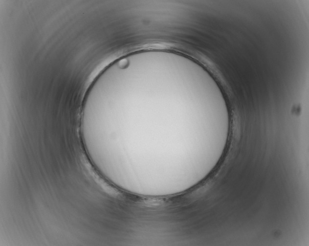 X0000113131186200909040925
