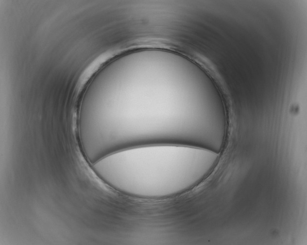 X0000113131188200909040925