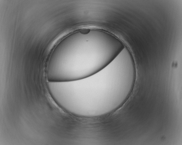 X0000113131189200909040925