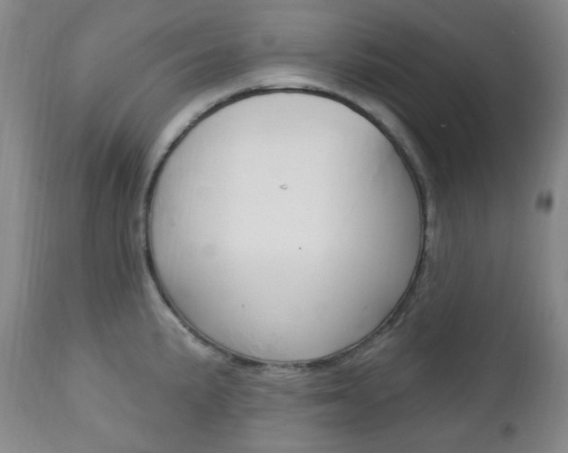 X0000113131191200909040925