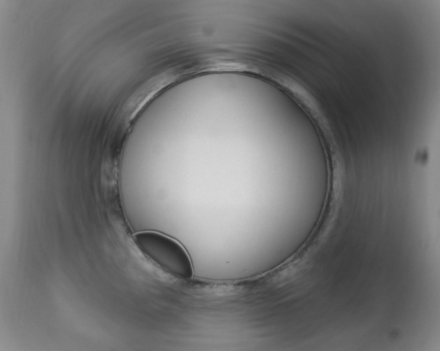 X0000113131193200909040925