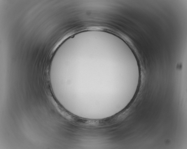 X0000113131194200909040925