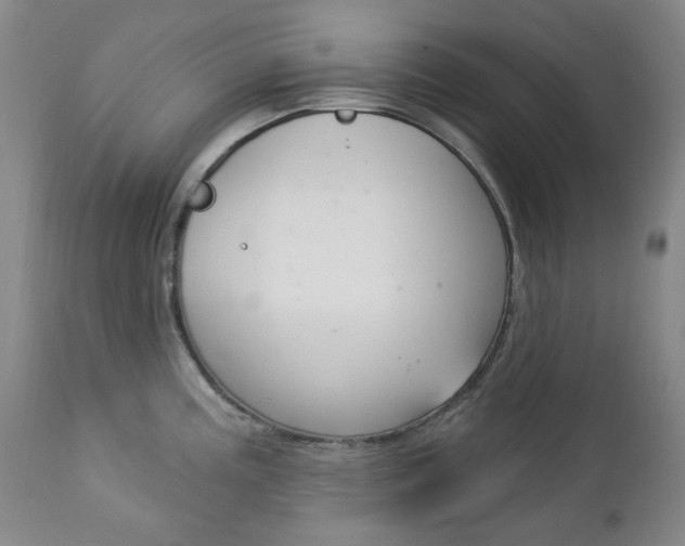 X0000113131195200909040925