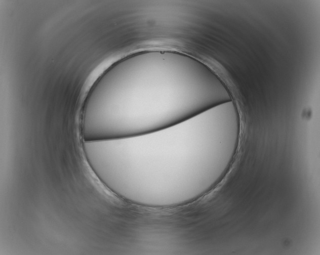 X0000113131196200909040925