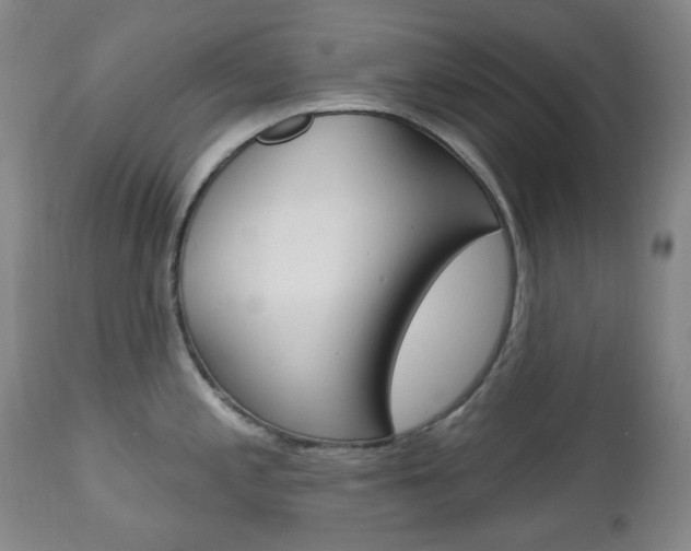 X0000113131197200909040925