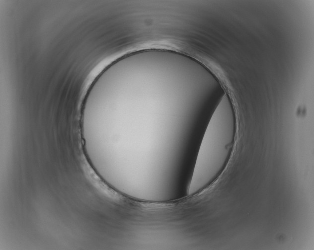 X0000113131200200909040925