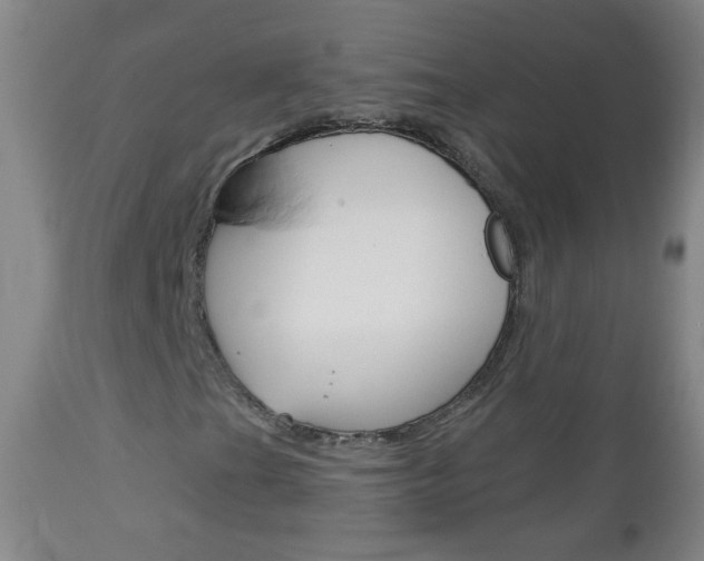 X0000113131201200909040924