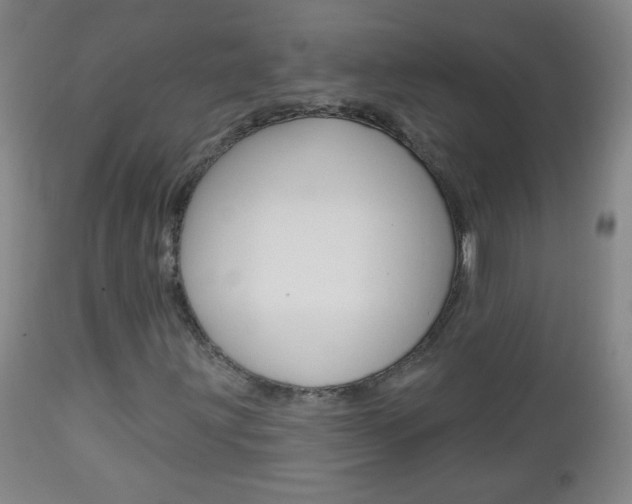 X0000113131203200909040924