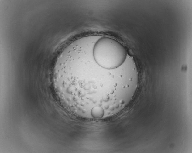 X0000113131205200909040924