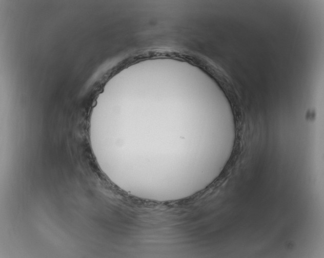 X0000113131207200909040924