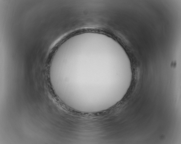 X0000113131208200909040924