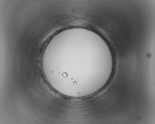 X0000113131211200909040924