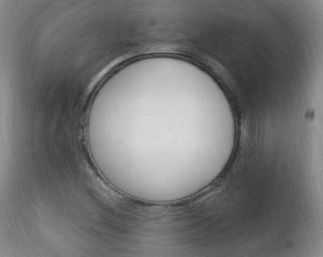 X0000113131212200909040924