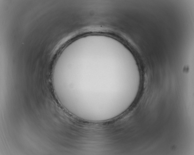 X0000113131213200909040924