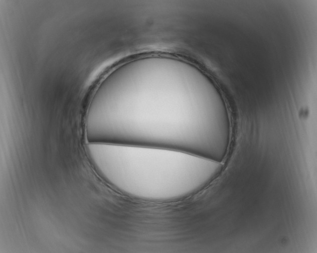 X0000113131214200909040924