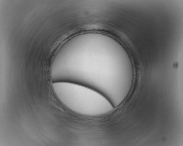 X0000113131217200909040925