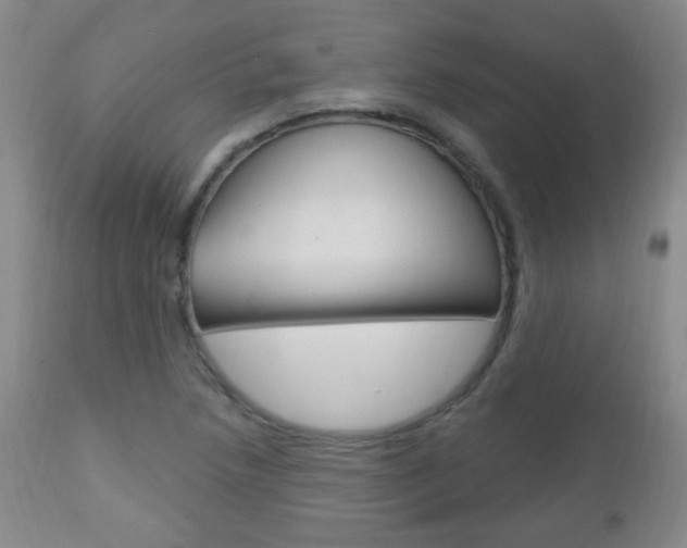 X0000113131218200909040925