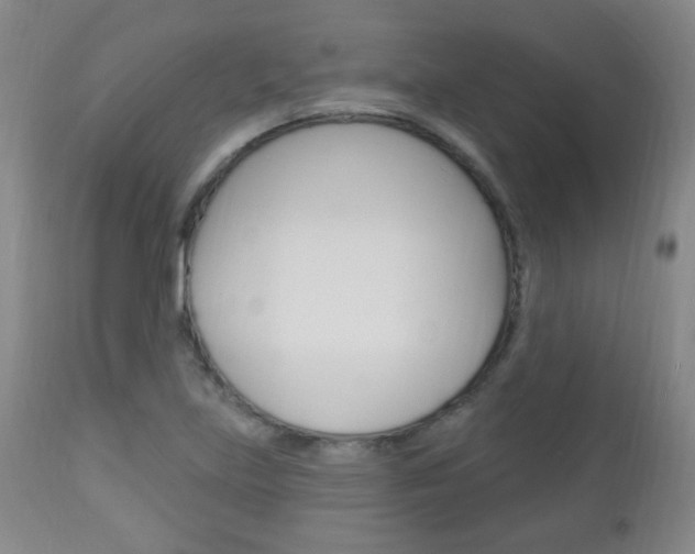 X0000113131219200909040925