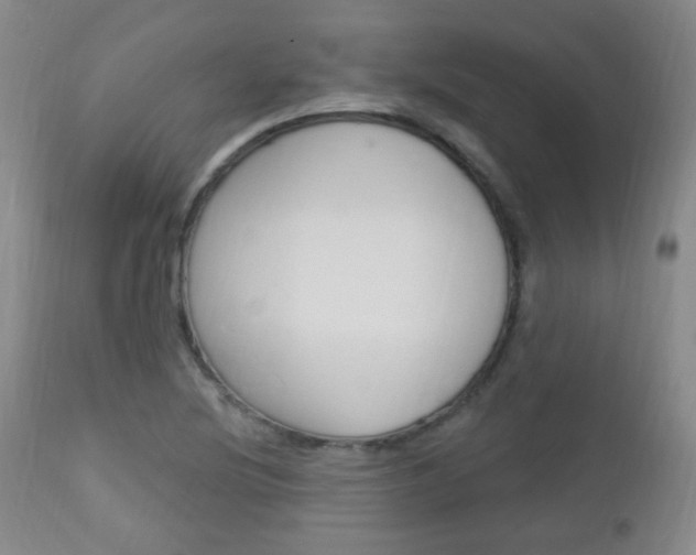 X0000113131220200909040925
