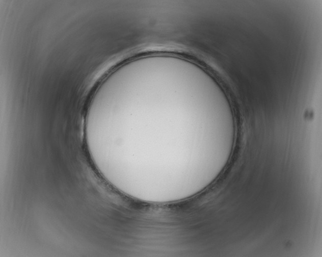 X0000113131221200909040925