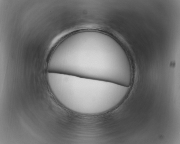 X0000113131222200909040925
