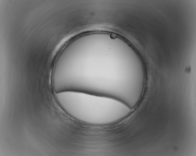 X0000113131224200909040925