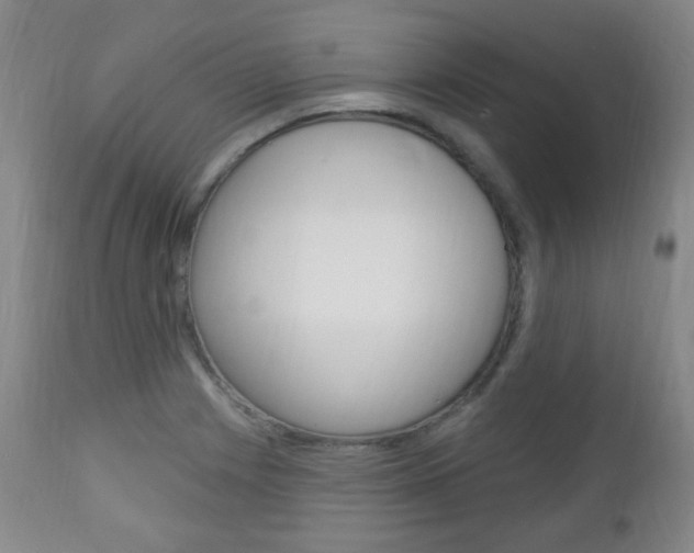 X0000113131225200909040925