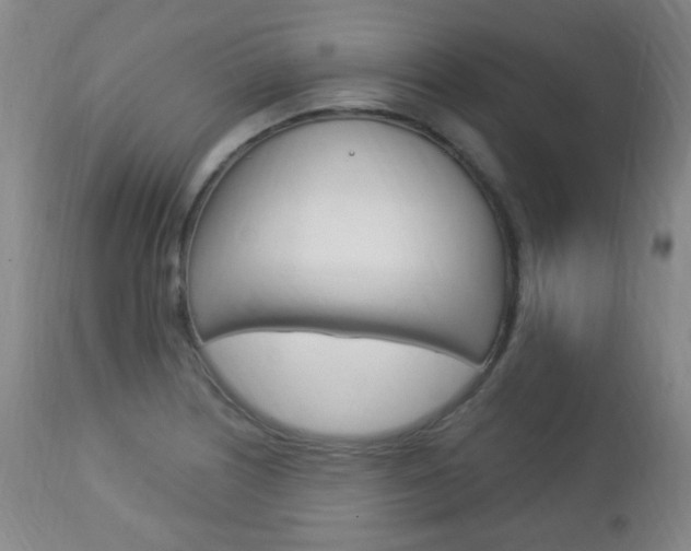 X0000113131226200909040925