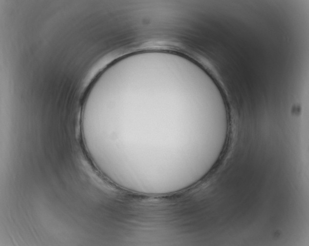 X0000113131227200909040925