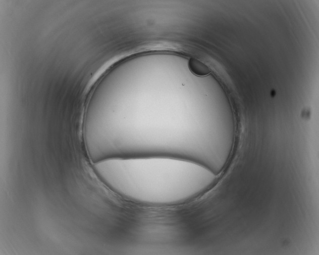 X0000113131228200909040925