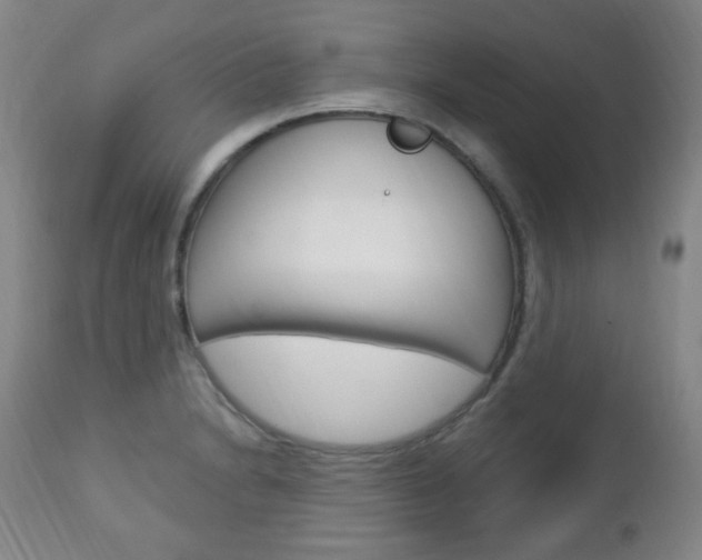X0000113131230200909040925