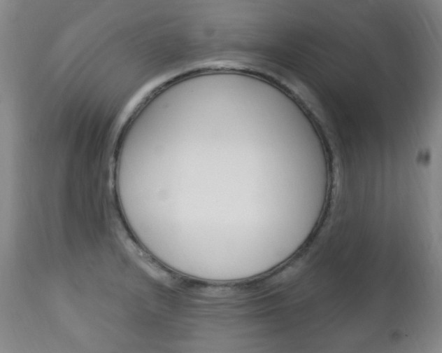 X0000113131232200909040925