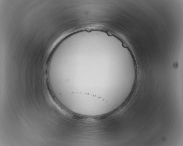 X0000113131235200909040925