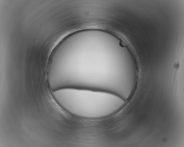 X0000113131236200909040925