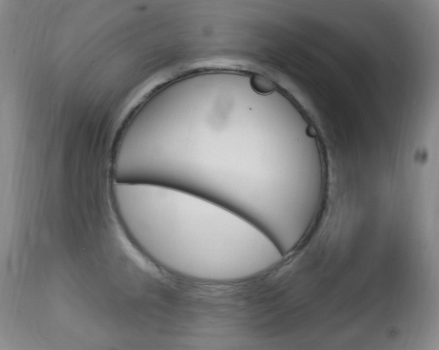 X0000113131237200909040925