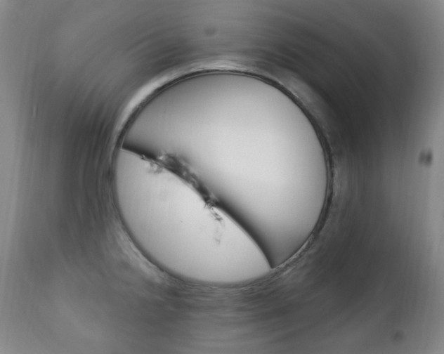X0000113131238200909040925