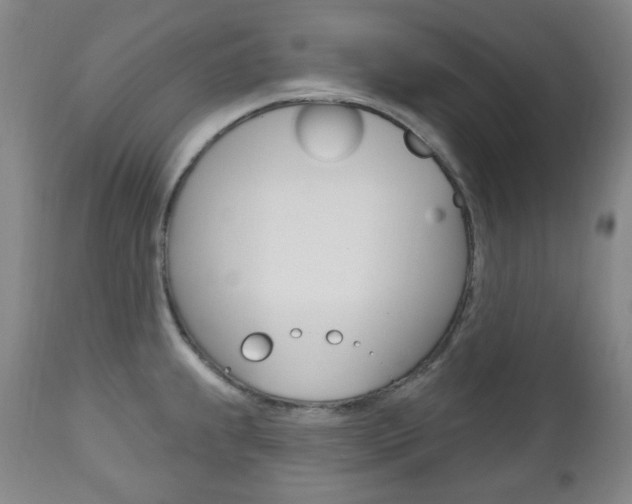 X0000113131239200909040925