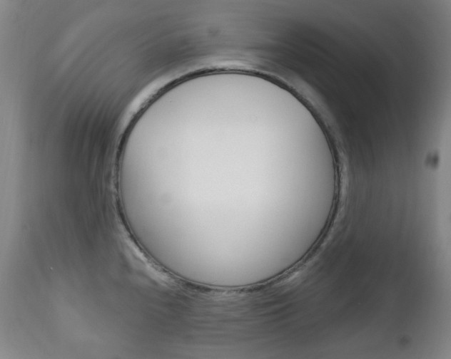 X0000113131240200909040925