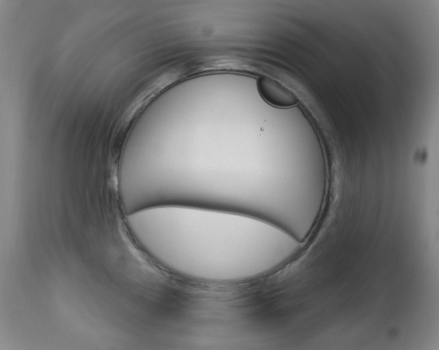X0000113131241200909040925